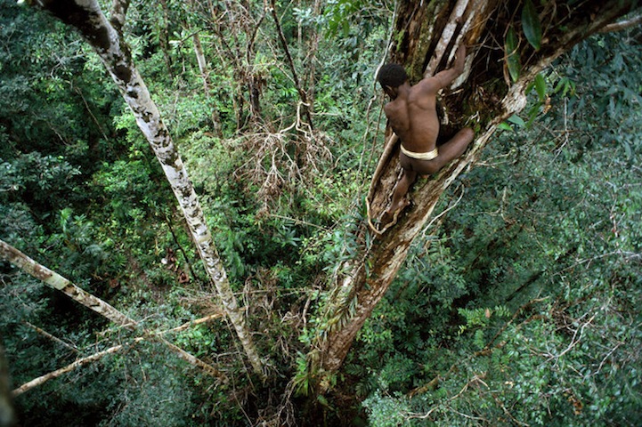 The Lost Treehouse Tribes of the Rainforest