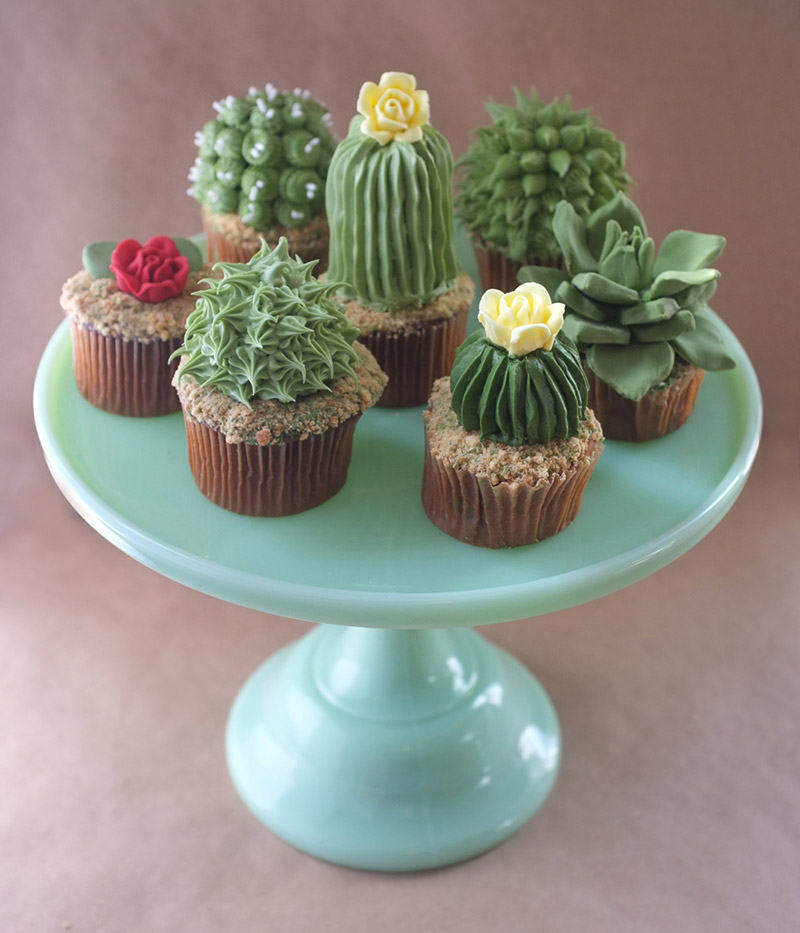 cactuscupcakes