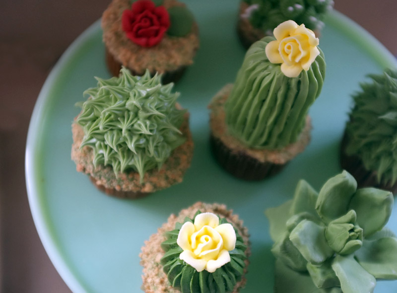 cactuscupcakes1