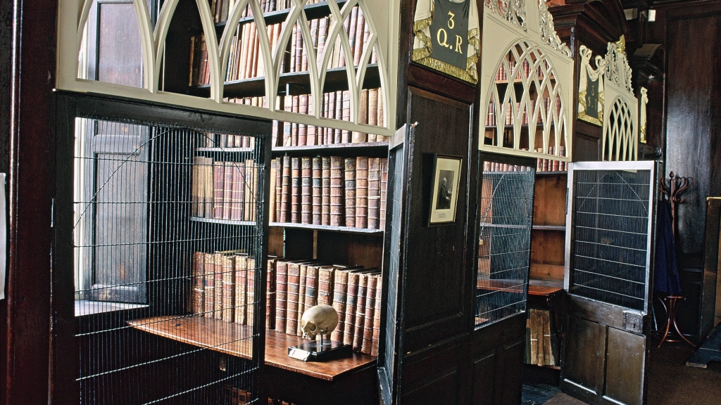 Irland: Dublin - Vergitterte Lesenische in Marshs Library