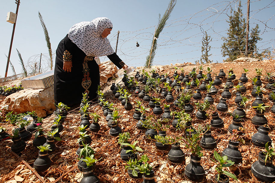 tear-gas-grenade-flower-pots-palestine-10