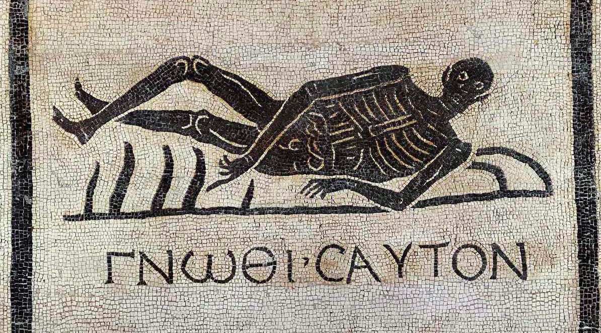 Skeleton with (Greek) inscription: Know thyself. 
